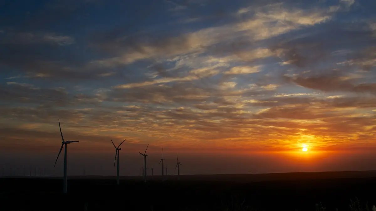 Aerogeneradores del parque eólico Canela, en la Región de Coquimbo, al atardecer